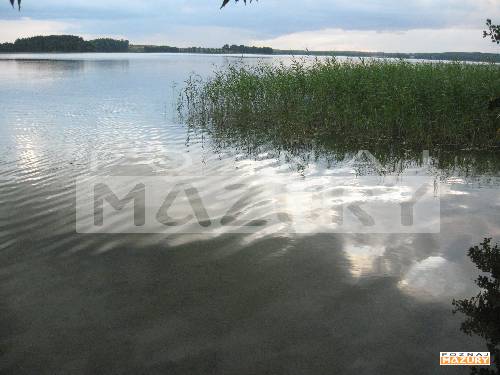 Jezioro Dejguny JEZIORO  DEJGUNY